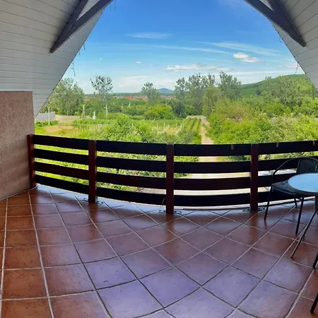 Guest house Polychka Winehouse