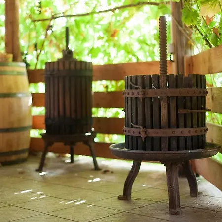 Guest house Polychka Winehouse 3*