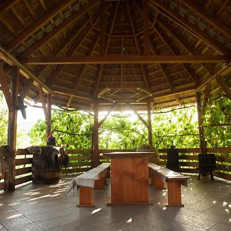 Guest house Polychka Winehouse