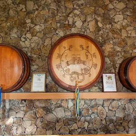 Guest house Polychka Winehouse