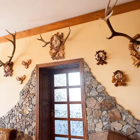 Polychka Winehouse Vynohradiv