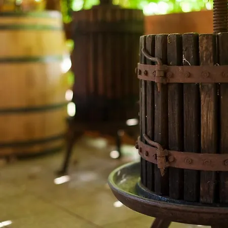 Guest house Polychka Winehouse 3*