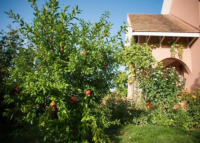 Vendégház Polychko Winehouse 3*