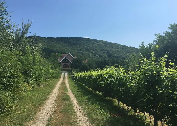 Polychko Winehouse Vendégház Nagyszőlős