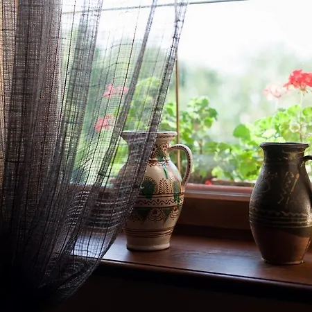 Guest house Polychka Winehouse Vynohradiv