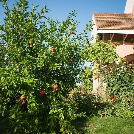 Guest house Polychka Winehouse 3*