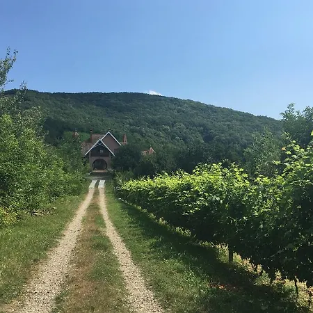 Polychka Winehouse Guest house Vynohradiv