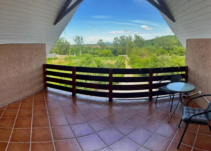 Guest house Polychka Winehouse